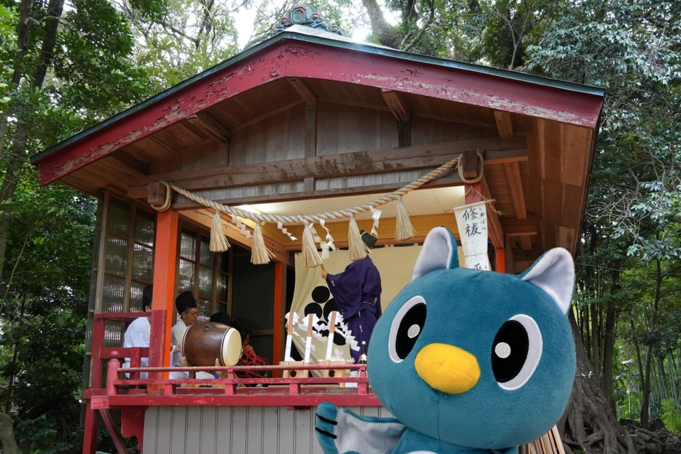 やっち（official） (@yachiyo_yacchi) / Highlights / X