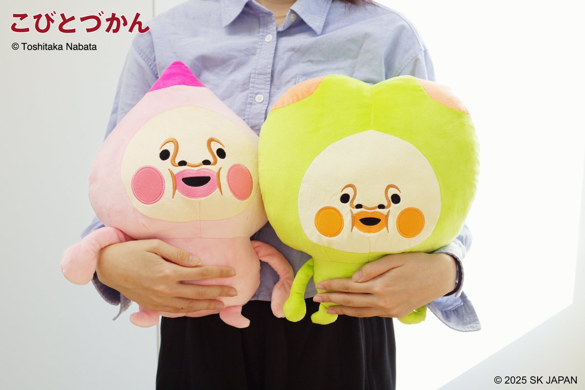 📚10月発売商品🌿 【こびとづかん BIGぬいぐるみ】※再販 #こびとづかん