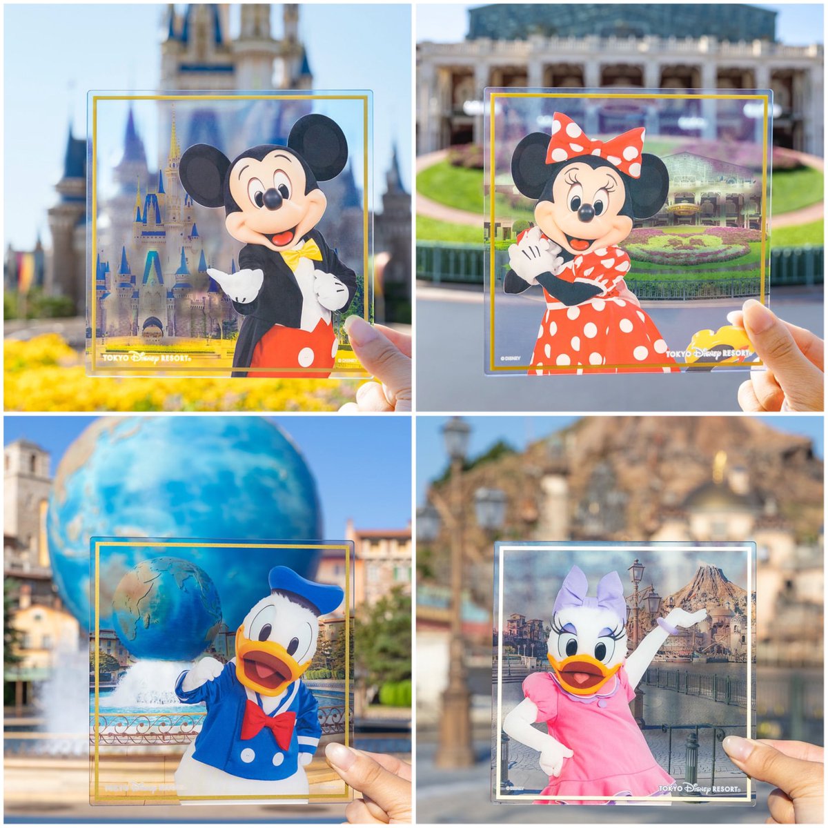 ❤️ディズニリゾート、確認用❤️ ❤️ディズニリゾート、確認用❤️ 公式】東京ディズニー