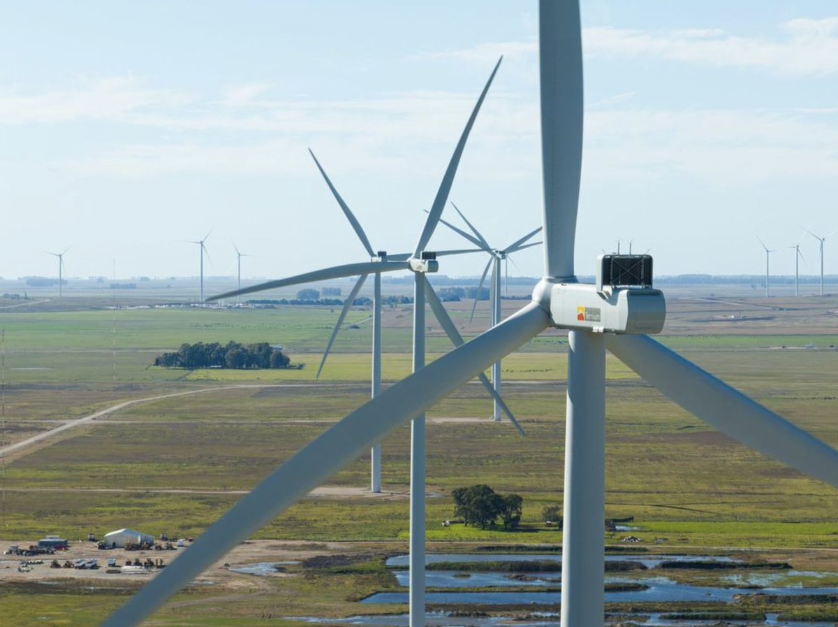 Máximo Vedoya tweet media