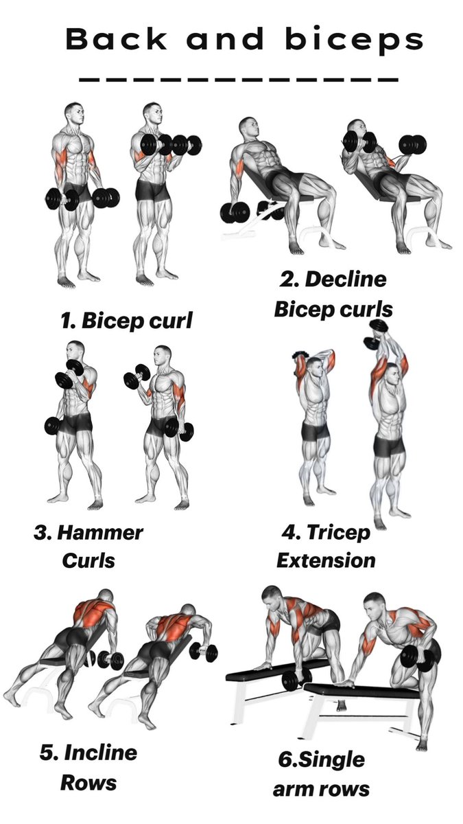 aesthetics_way's tweet photo. Back and Biceps https://t.co/6Y3o5fLWCx