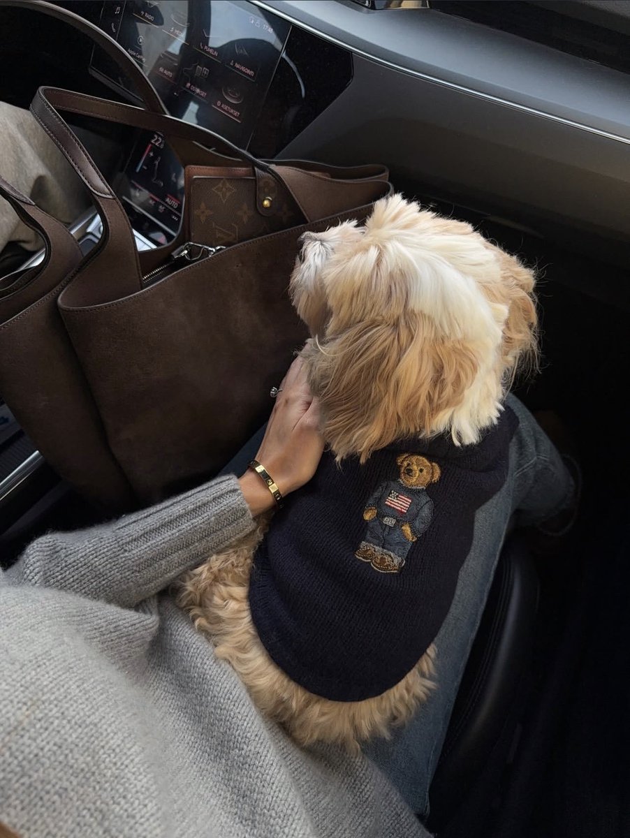 𝒩𝒾𝓁𝓈 ✨ tweet media