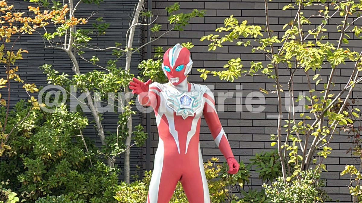 スラッガー無い事に突っ込まれてますが、地元に来るオメガくんはアクション中によく落とす子なんです😅