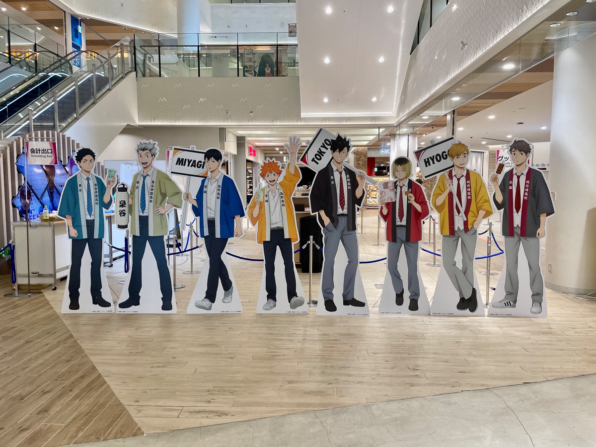 ハイキュー!! 11