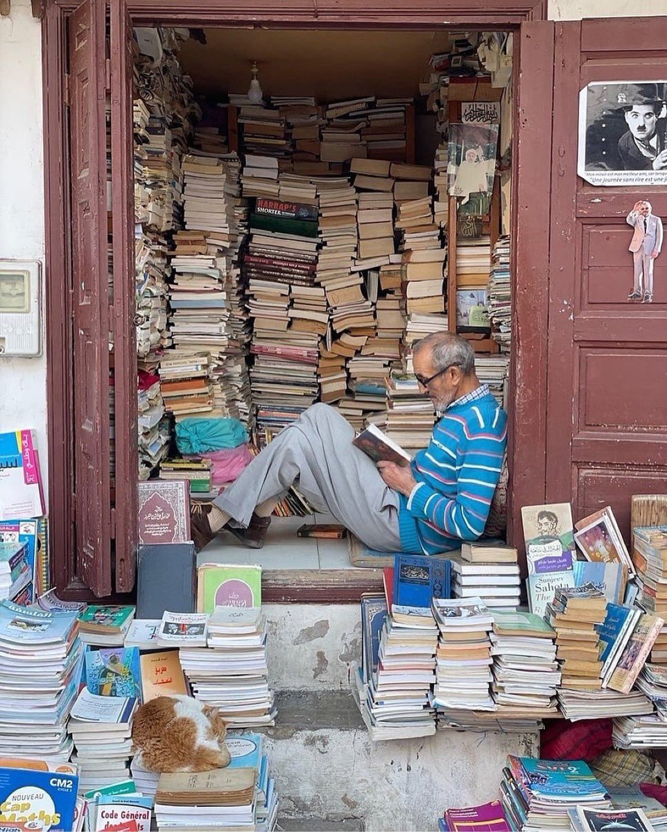 𝒩𝒾𝓁𝓈 ✨ tweet media