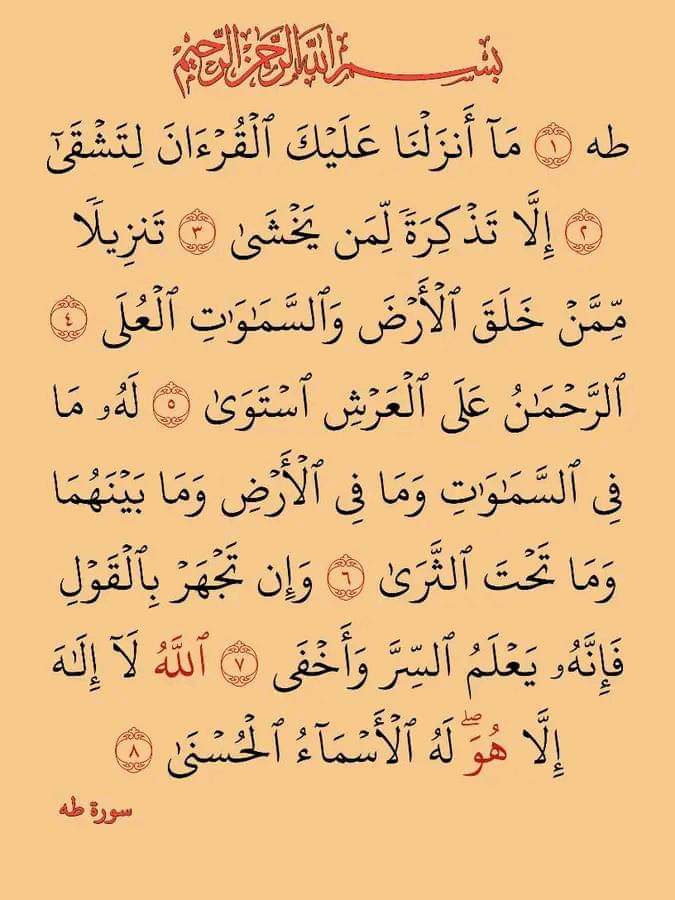 6741Hbhn's tweet image. 