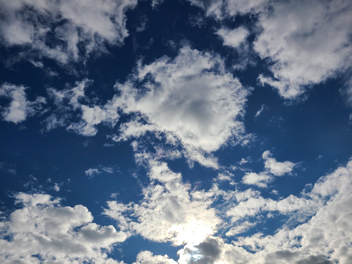 출근길에 찍은 사진