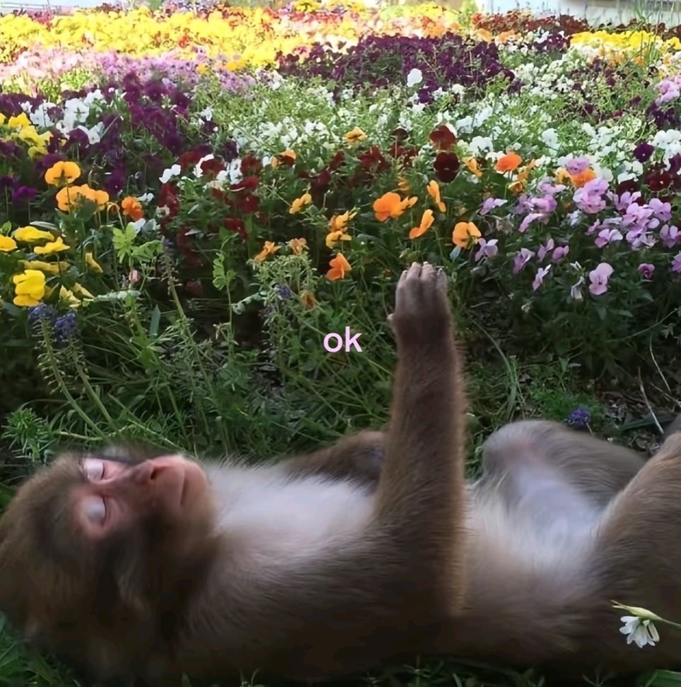 alarme toca

eu: