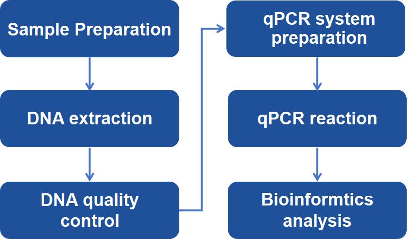 CDProteomics's tweet image. Real-time qPCR detects E. coli DNA down to 0.04 pg—100× more sensitive than traditional assays.
Ensure biologic purity with Creative Proteomics.
 creative-proteomics.com/pronalyse/host…
#qPCR #BiologicsDevelopment