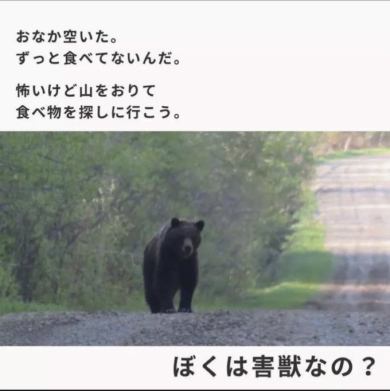 2chbook's tweet image. ãç»åãã¯ãããã人éããããŒãã¯ã害ç£ããªã®ïŒã
1ïŒ 2025/08/19(ç«) 19:13:09.55
æ³£ããã