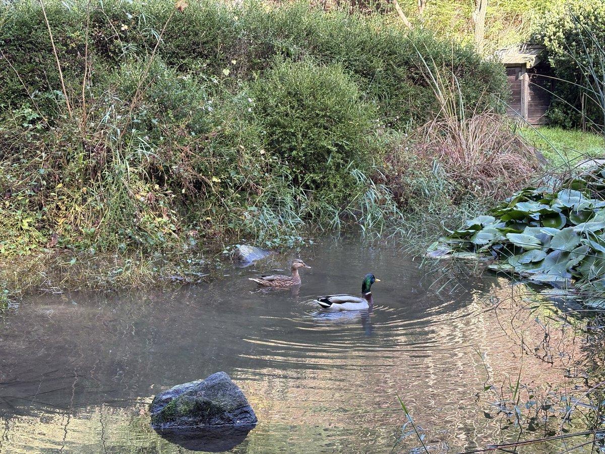 몇일만에 파란하늘을 보는건지...
내 마음도 가볍고 맑아지는듯!!!