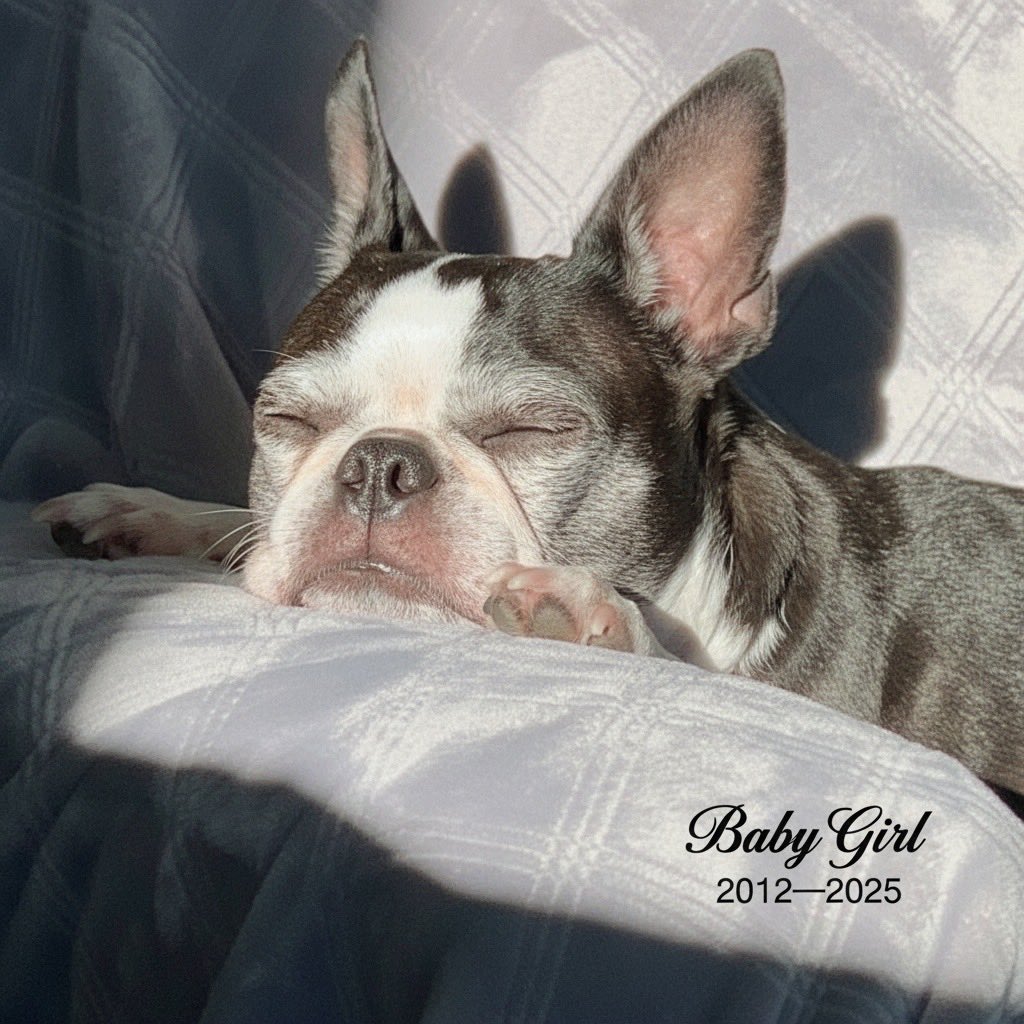 James Naylor tweet media