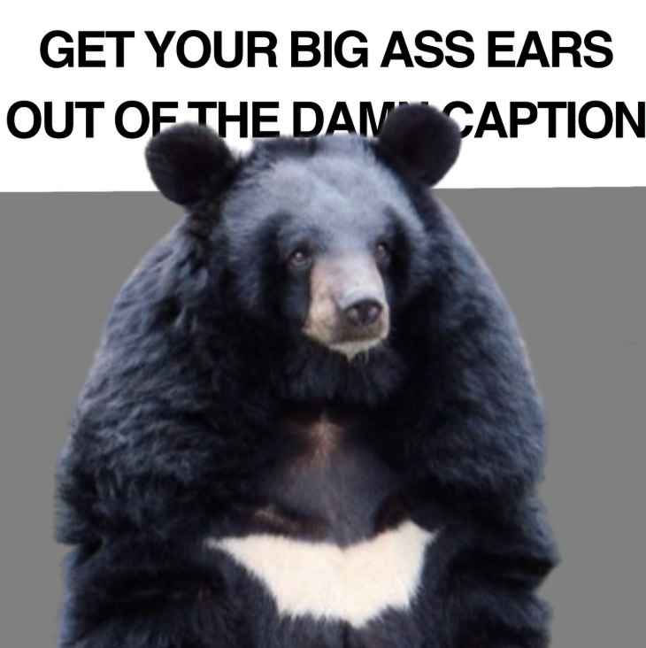 BearyDales's tweet image. 