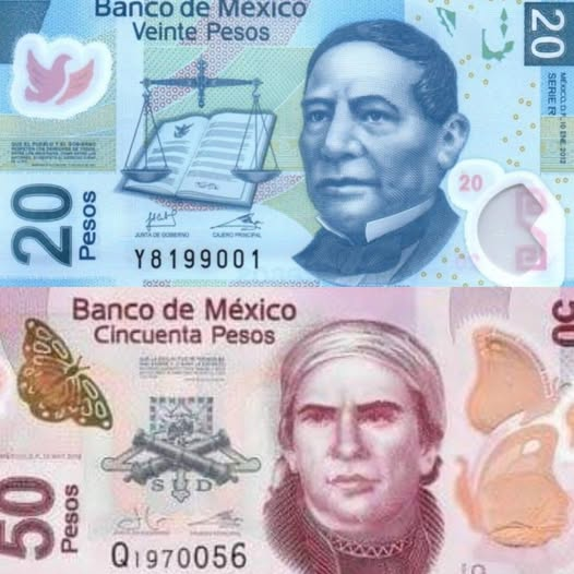 GARCIPAVON's tweet photo. 🚨#NOTICIAS| Banxico retira los billetes de 20 y 50 pesos de la Familia F.
El Banco de México (Banxico) anunció el retiro de los billetes de 20 pesos con Benito Juárez y de 50 pesos con José María Morelos, ambos pertenecientes a la familia F.
El billete de 20 pesos, emitido desde 2007, ya no podrá circular y deberá ser entregado al Banco Central. En tanto, el billete de 50 pesos será retirado en el transcurso de un año, perdiendo su valor comercial y quedando solo como pieza de colección. 
Fuente: City Reynosa