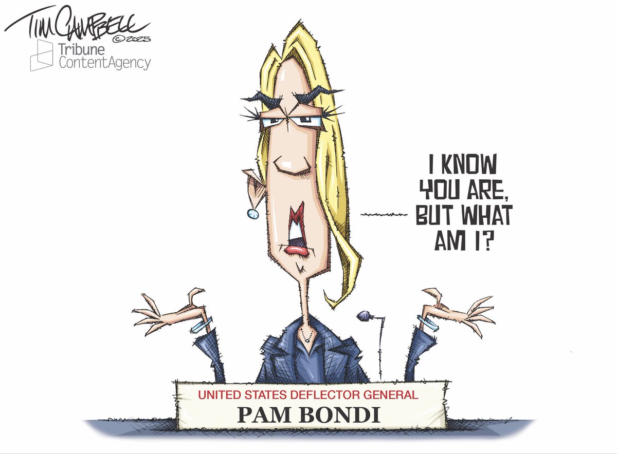 tc2oons's tweet image. Deflector General
#PamBondi #deflect #AttorneyGeneral #Hearings @EandPCartoons @IndianaJournos @TribuneAgency