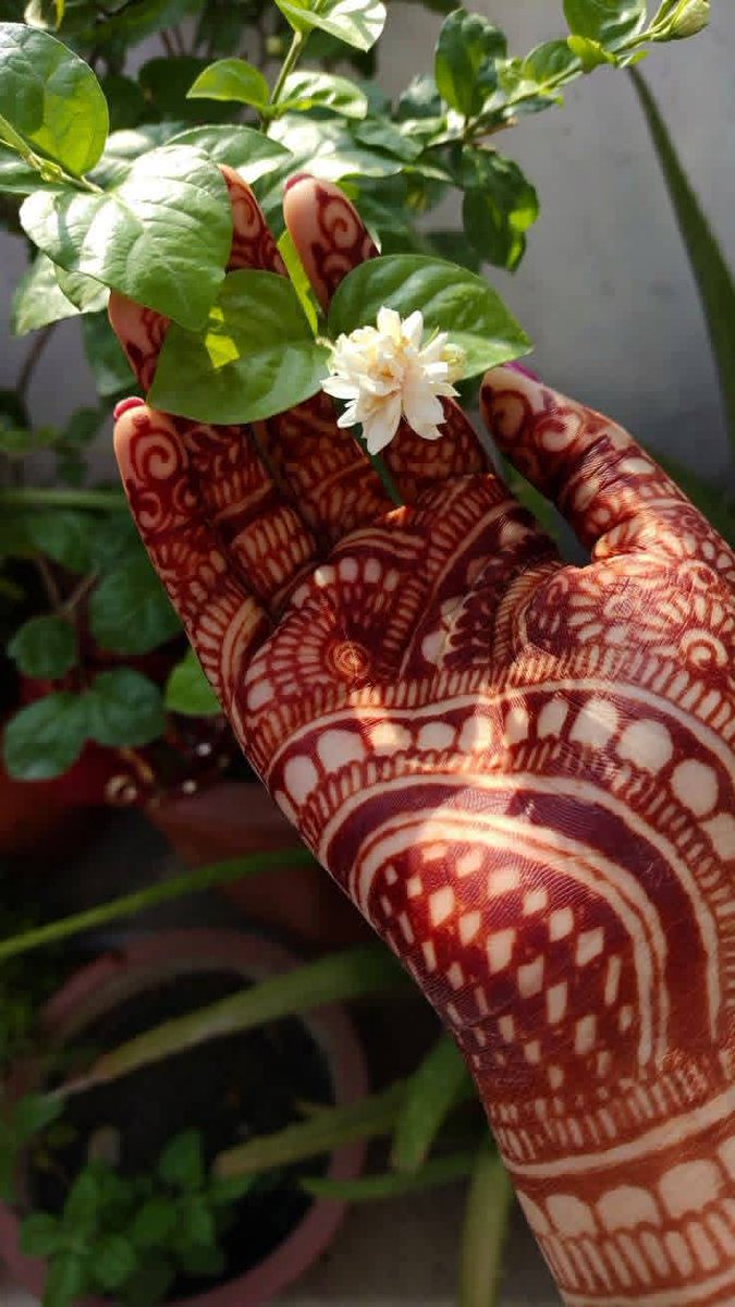 हम जिनकी औकात में नहीं होते.,
अक्सर उनको खैरात में मिल जाते हैं..!!

#GoodMorningX