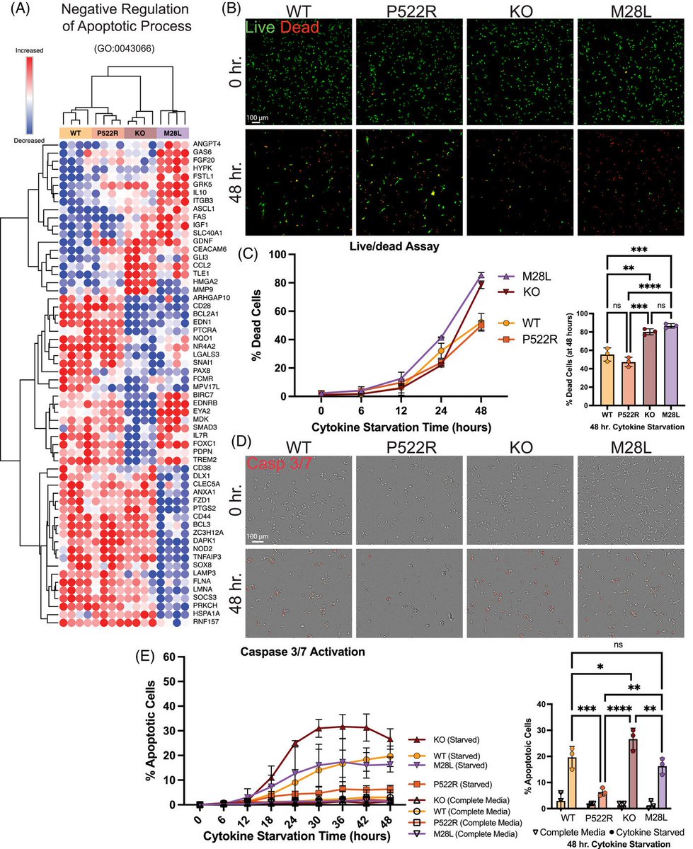 Alzheimer's disease–associated PLCG2 variants alter microglial state and function in human induced pluripotent stem cell–derived microglia‐like cells  alz-journals.onlinelibrary.wiley.com/doi/full/10.10…