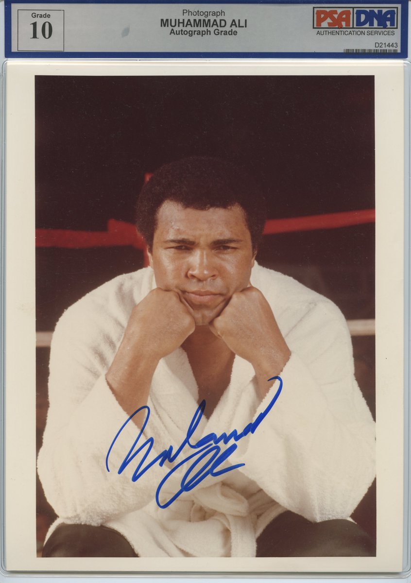 Main Event Collectibles tweet media