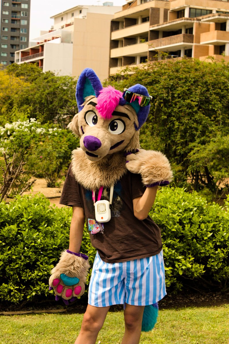 hades_catto's tweet photo. @ryz3ndingyote looking as fabulous as always 😍
#furjam #furjam2025 #furry #fursuit #canon #450d https://t.co/hpxPb48LZb