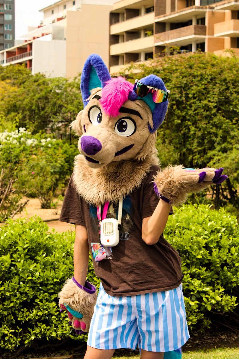 hades_catto's tweet photo. @ryz3ndingyote looking as fabulous as always 😍
#furjam #furjam2025 #furry #fursuit #canon #450d https://t.co/hpxPb48LZb