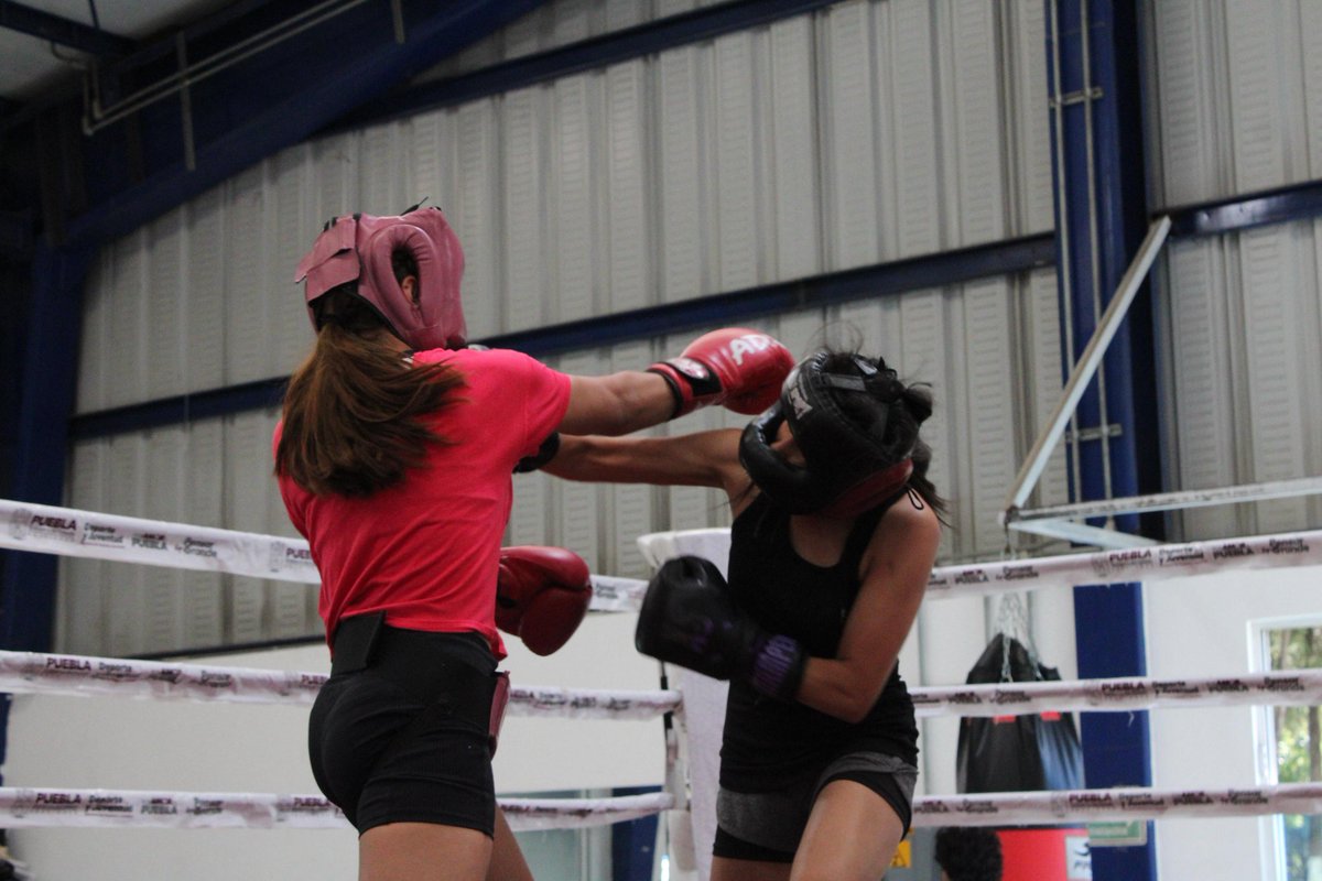 🥊💥 En la UDEP nos llena de orgullo ver a nuestras y nuestros boxeadores darlo todo en el Dual Meet con la <a href="/UPPueblaOficial/">Universidad Politécnica de Puebla</a>. 

💪🔥 Una jornada de respeto, energía y unión que refuerza que el deporte forma, une y nos impulsa a superarnos. 🤝💚

 #OrgulloUDEP #BoxUDEP