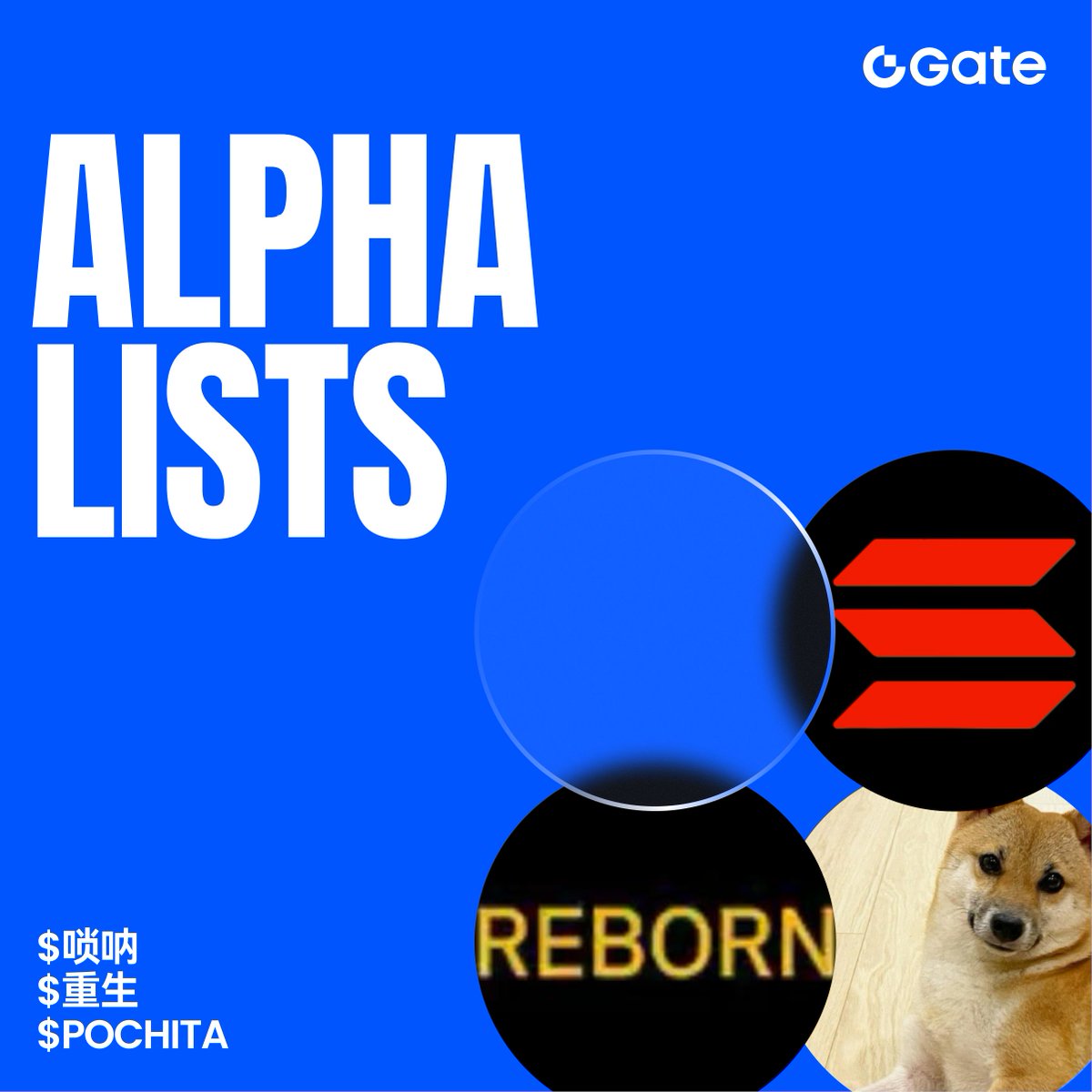Gate MemeBox (@gatememebox) on Twitter photo 🔥 Fresh listings on Gate Alpha HOT section: $唢呐, $重生 and $POCHITA
Trade early. Earn Alpha Points.
Stay ahead of the curve. 
Discover the next narrative now on <a href="/GateAlphaHQ/">Gate Alpha</a> — Gate’s one-stop on-chain trading portal  gate.com/alpha 🔥 Fresh listings on Gate Alpha HOT section: $唢呐, $重生 and $POCHITA
Trade early. Earn Alpha Points.
Stay ahead of the curve. 
Discover the next narrative now on <a href="/GateAlphaHQ/">Gate Alpha</a> — Gate’s one-stop on-chain trading portal  gate.com/alpha