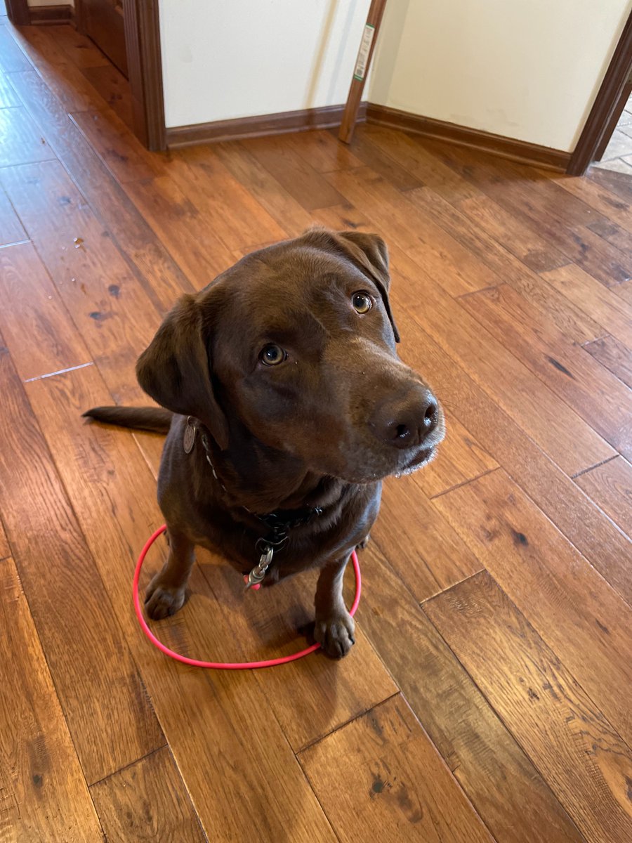 Took a new gig so my solo adventure is ending on great terms after almost 4 years.  Going all in all this new journey so going to be talking a lot about what we are doing in the CX space.  Honestly, I think it is going to be something great and it is the next wave of change.