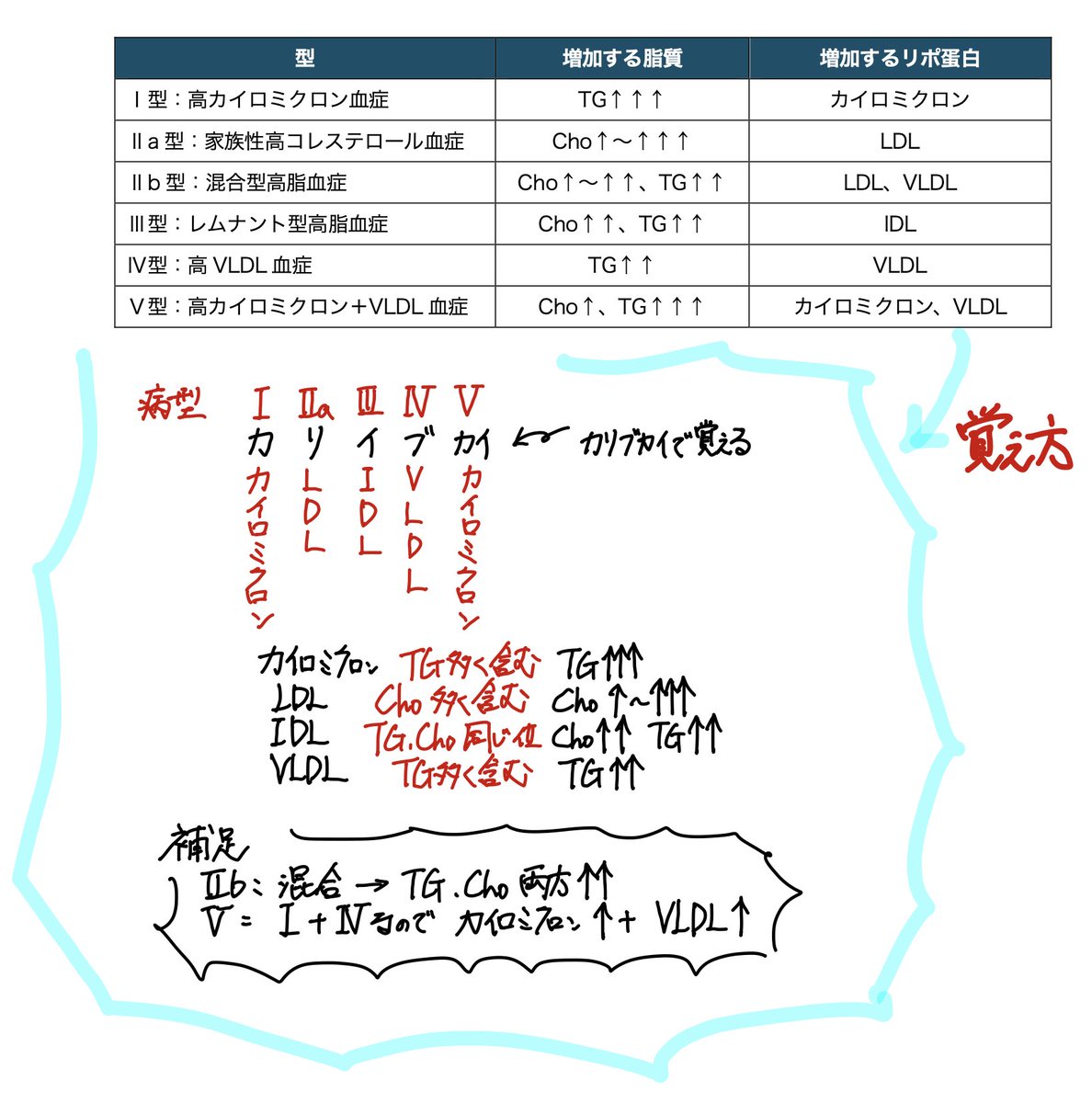 薬学ラボ (@yakugakulab1) / Posts / X