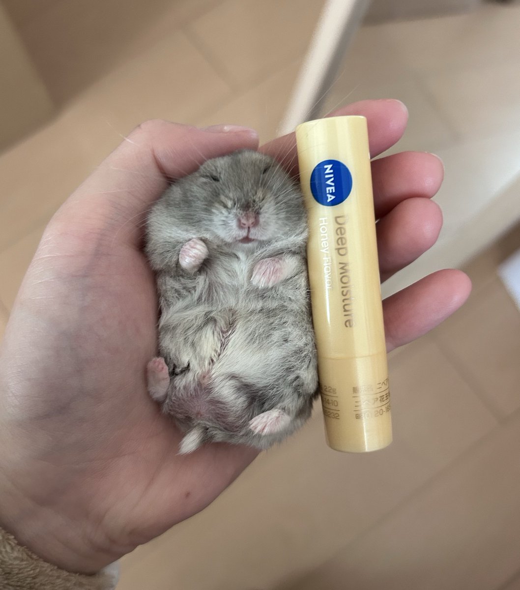 リップクリームより小さい