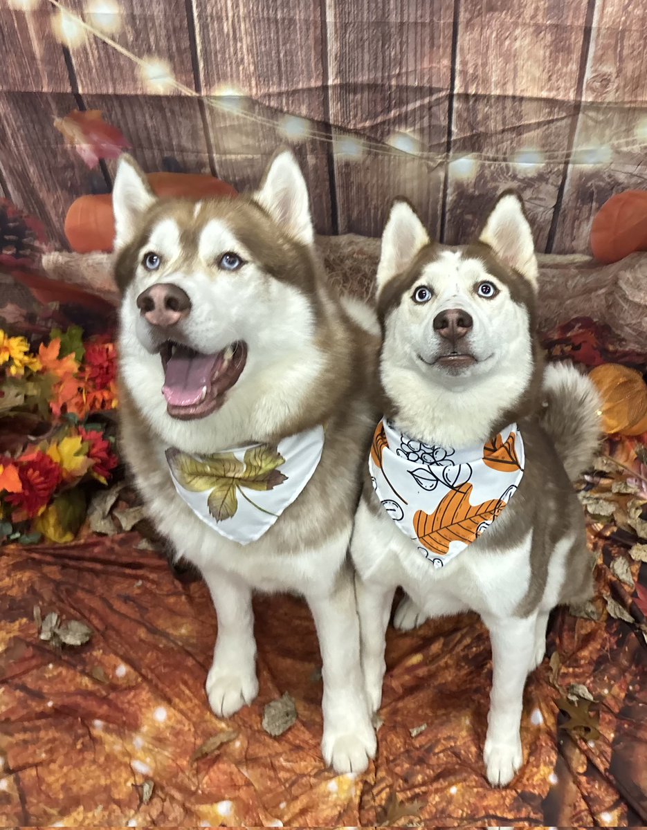 Sparky and Antonella