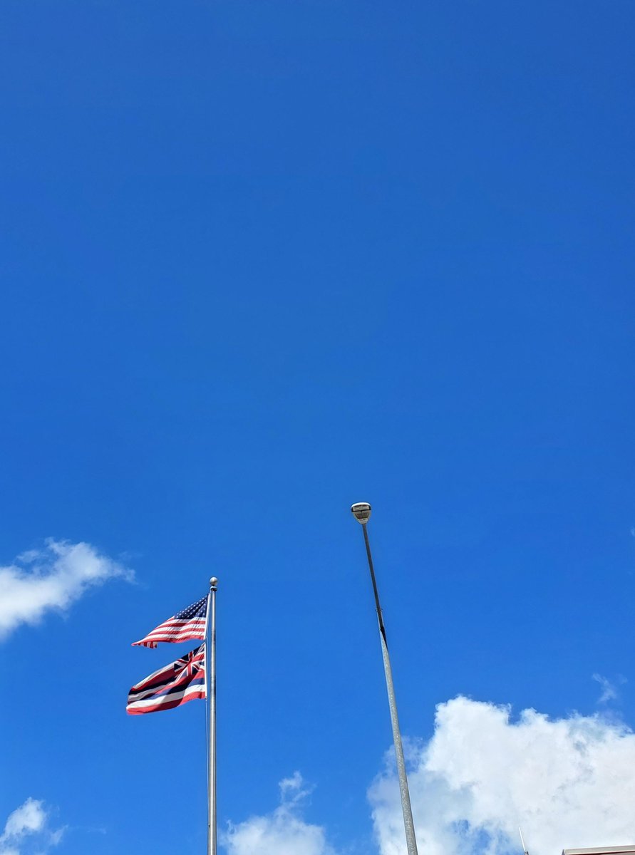 Aloha! 今日の真っ青なハワイの空をシェア🌺 ちなみに、アメリカ合衆国