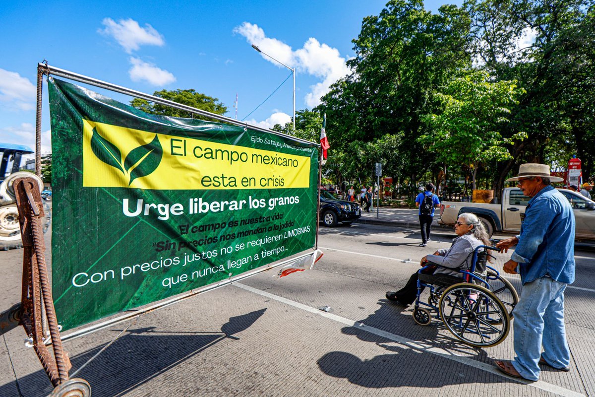 ElFinanciero_Mx's tweet photo. Productores de maíz de 17 estados bloquean carreteras para exigir un mejor precio del grano 🌽🚧 Con estas protestas en distintos puntos del país buscan presionar a las autoridades y que se atiendan sus demandas

https://t.co/Iw9eyZiNiq

📸 Cuartoscuro https://t.co/3FZezo2GlQ