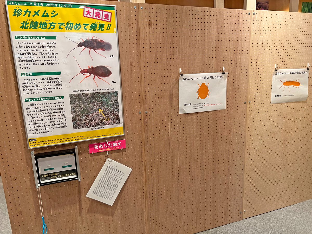 石川県ふれあい昆虫館 on X