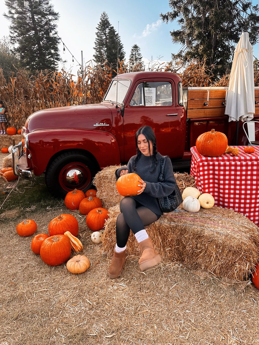 itssletty's tweet photo. Pumpkin patches are my favorite place https://t.co/zjqTvmaTly