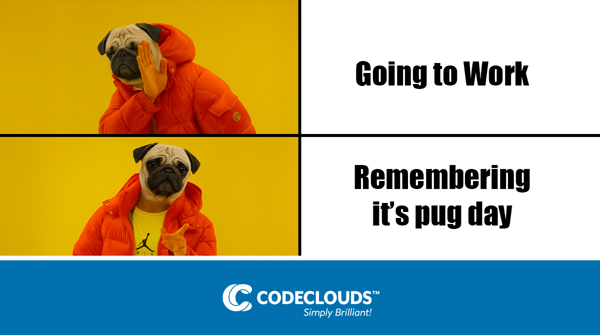 codeclouds's tweet image. Every day’s a good day when there’s a pug around! Happy Pug Day at CodeClouds!
#PugLove #PugDay #CodeClouds