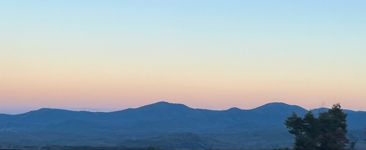 Bill Hartley tweet media