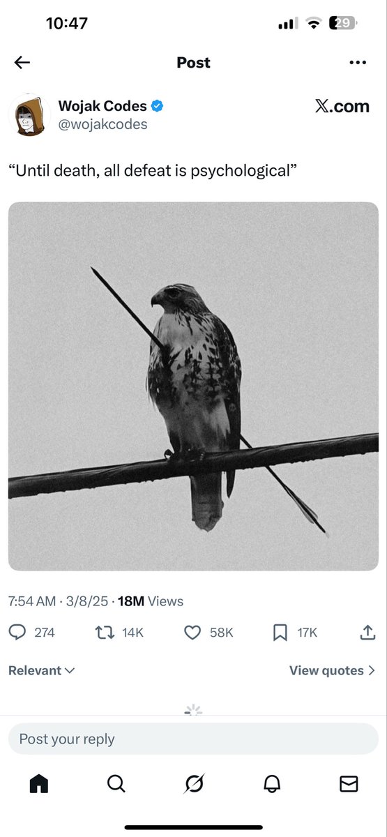 Appalachian Bruce (@archivesmonarch) on Twitter photo 