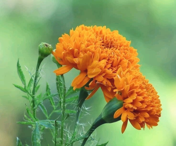 इंसान..
कर्म में मनमानी कर सकता हैं,
लेकिन फल भोगने में नहीं...!! 😊

शुभ प्रभात 🌞  ☕