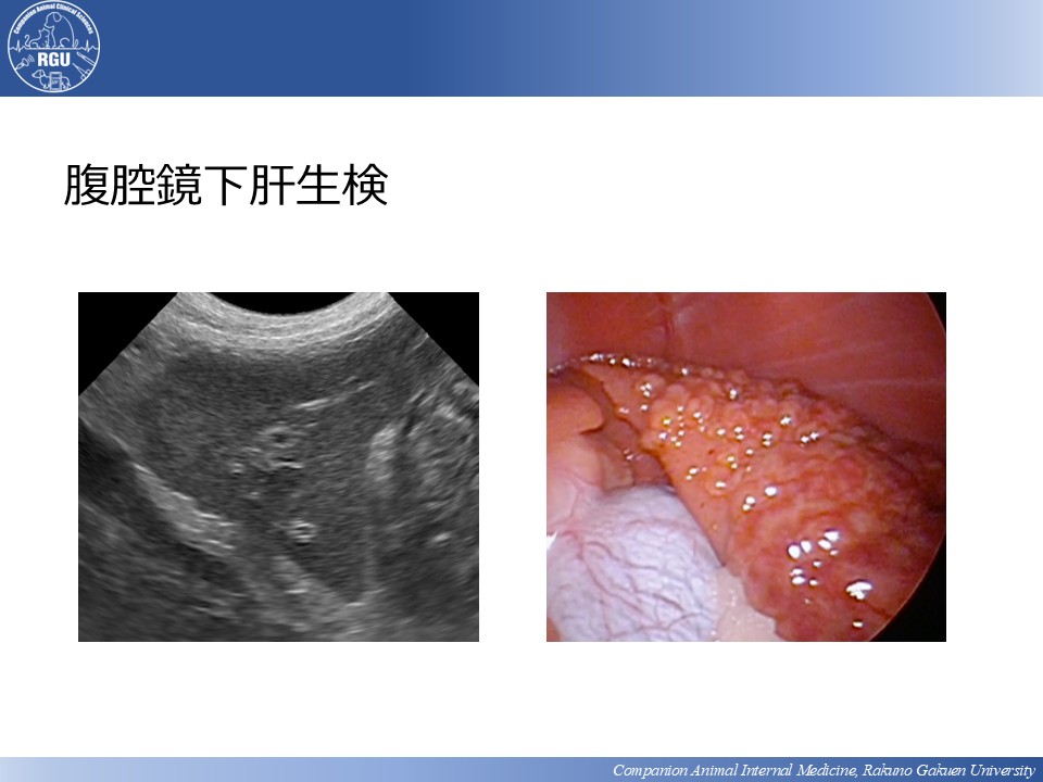 ＼🔔内科診療における診断力を身に着ける！／
「消化器 Advanceコース」講義スライドお見せします
▼ 詳しくみる
academy.eduone.jp/course/detail/…
ㅤㅤ
Advanceコースでは7月から講義とあわせて『2回の到達度チェック』と『第7回のLIVE配信では症例ディスカッション』を実施。
