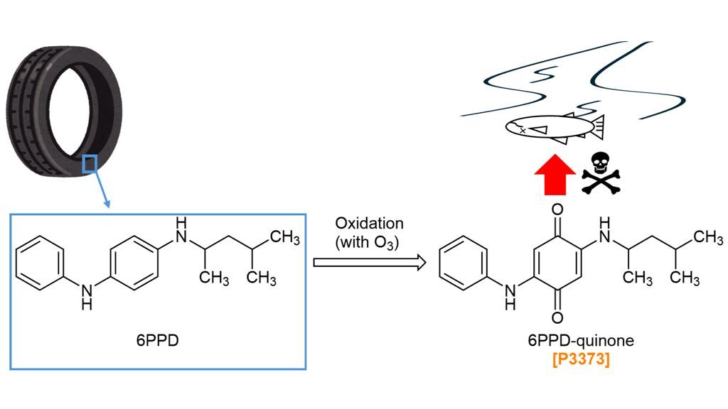 緑と白の丸いものです。 say on X