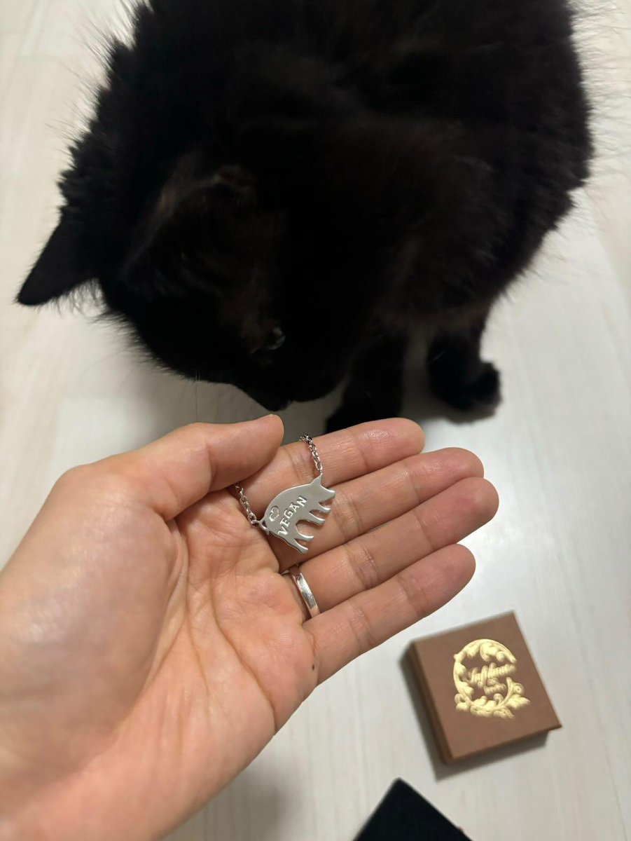 リバーシブルの豚さんネックレスが素敵な人の元へ届きました🐷

<a href="/lonely5time/">𝙼𝚒𝚔𝚊</a>
いつもどうぶつ達の為の活動、感謝しかありません。

#vegan #黒猫