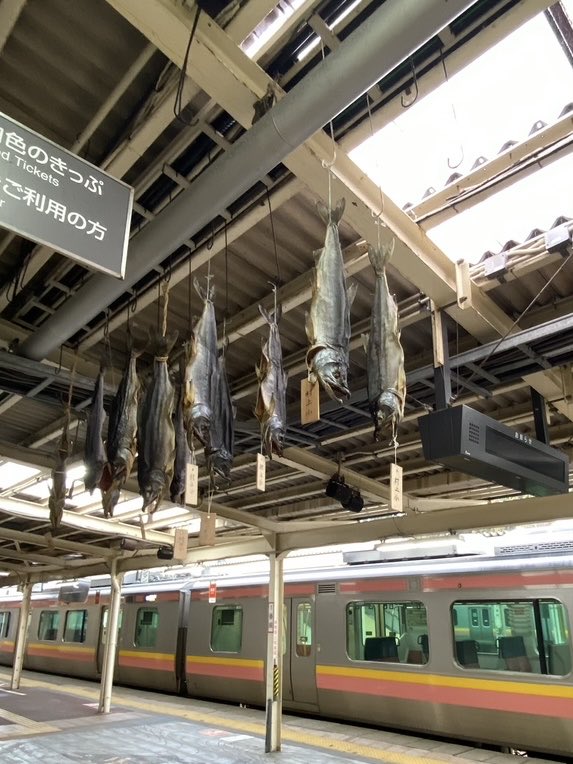 るるる (@rururu3) / Posts / X