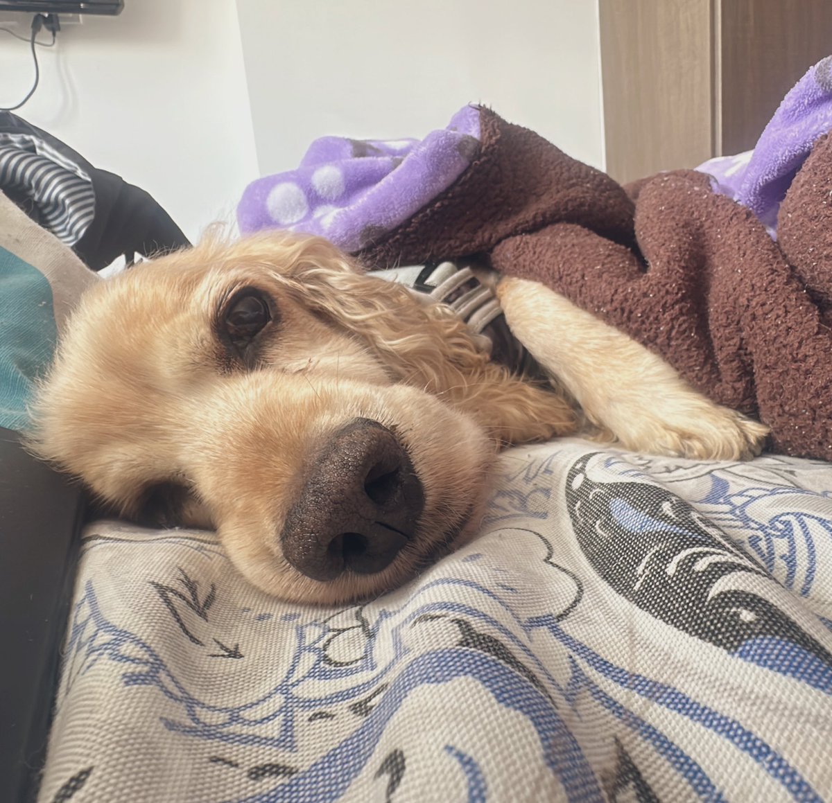 Es que como se olvida esta carita preciosa 🥺😭😭