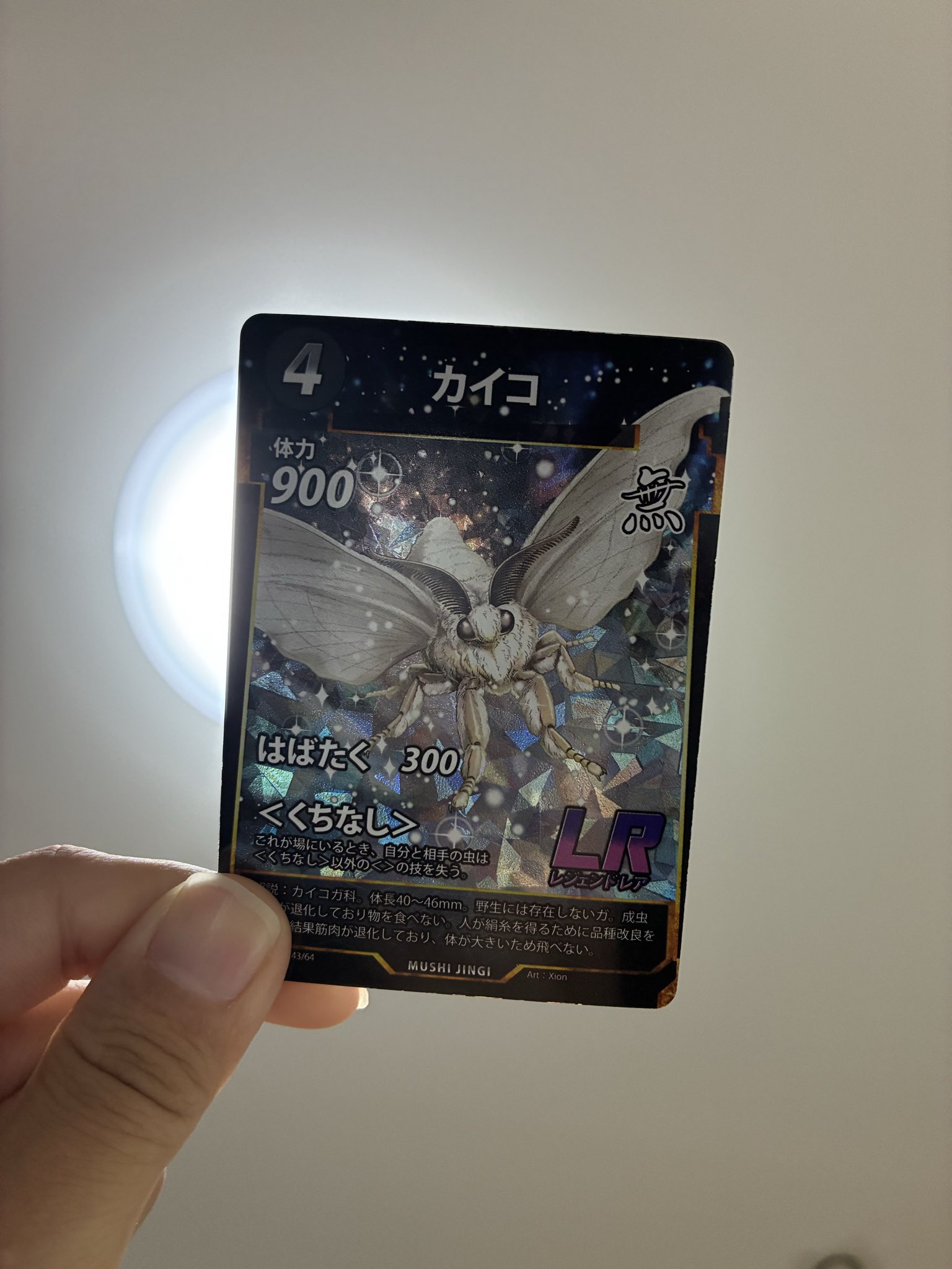 蟲神器- Search / X