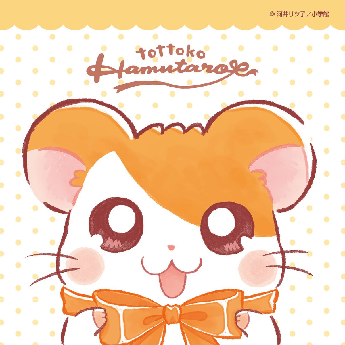 とっとこはむ さま専用 Amazon.co.jp: Hamtaro Ham-chanzu Collection, Ham-Grandma