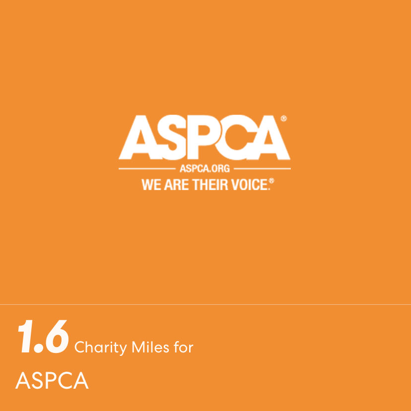 Tammy’s Vegan (@fitnlive) on Twitter photo 