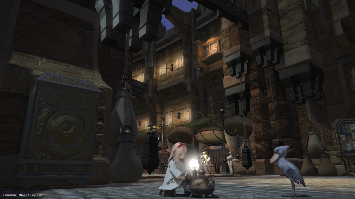 ハシビゴロウくんに見守られながらひたすらレベル上げ🕊️

 #FF14 #FF14フレンド募集