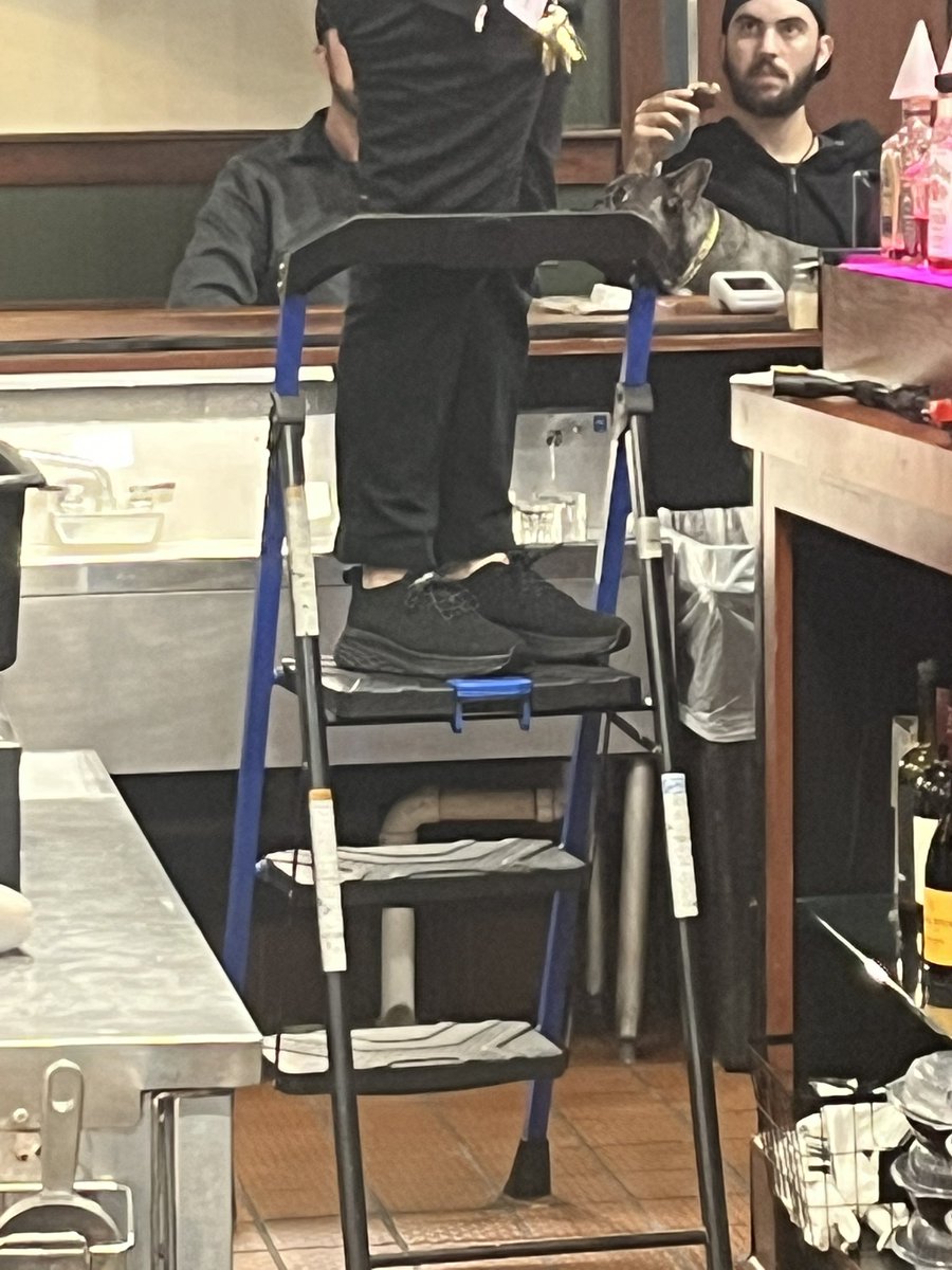 A damn dog sitting with his owner at the bar and no it wasn’t a service dog. Do better <a href="/rubytuesday/">Ruby Tuesday</a>