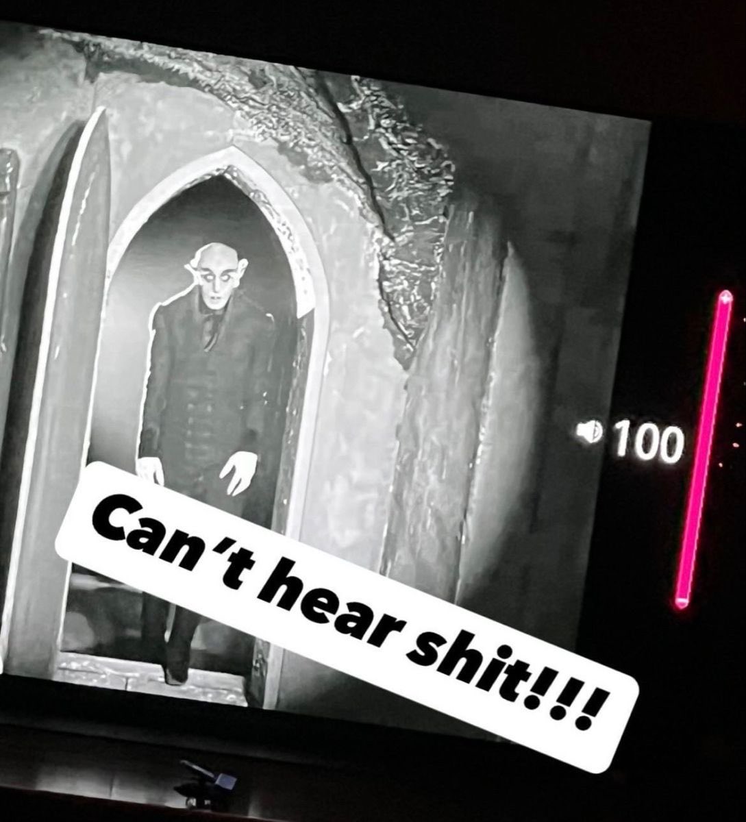 ️️ ️️moved to THEMYSCIRASFATE tweet media