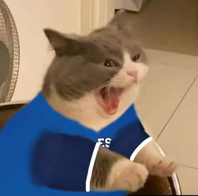 MaritoKunGZ's tweet image. Robo a #LaCholecta